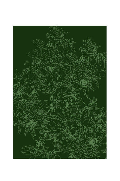 Passiflora - Rug / Verdant 2.0M X 3.0M